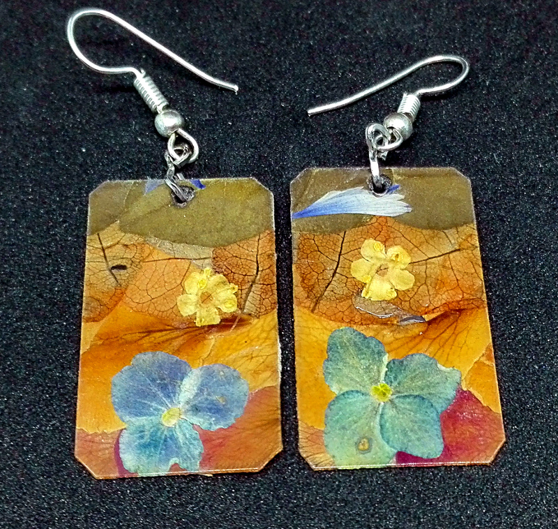 Fleurs séchées