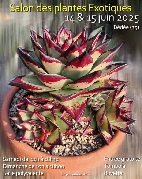 Salon des plantes exotiques 2025 – Bédée