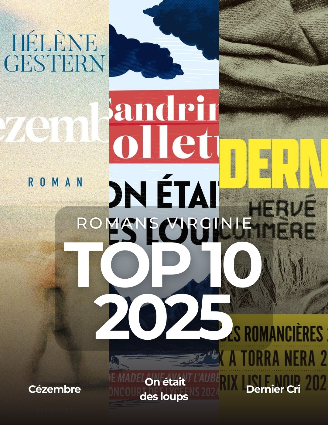 Top 10 Romans 2025 – Virginie
