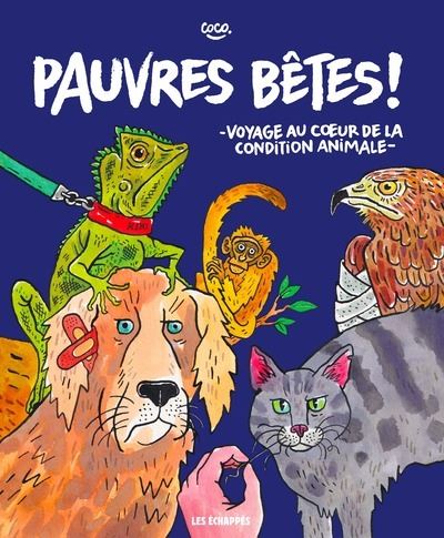 Pauvres bêtes – Coco