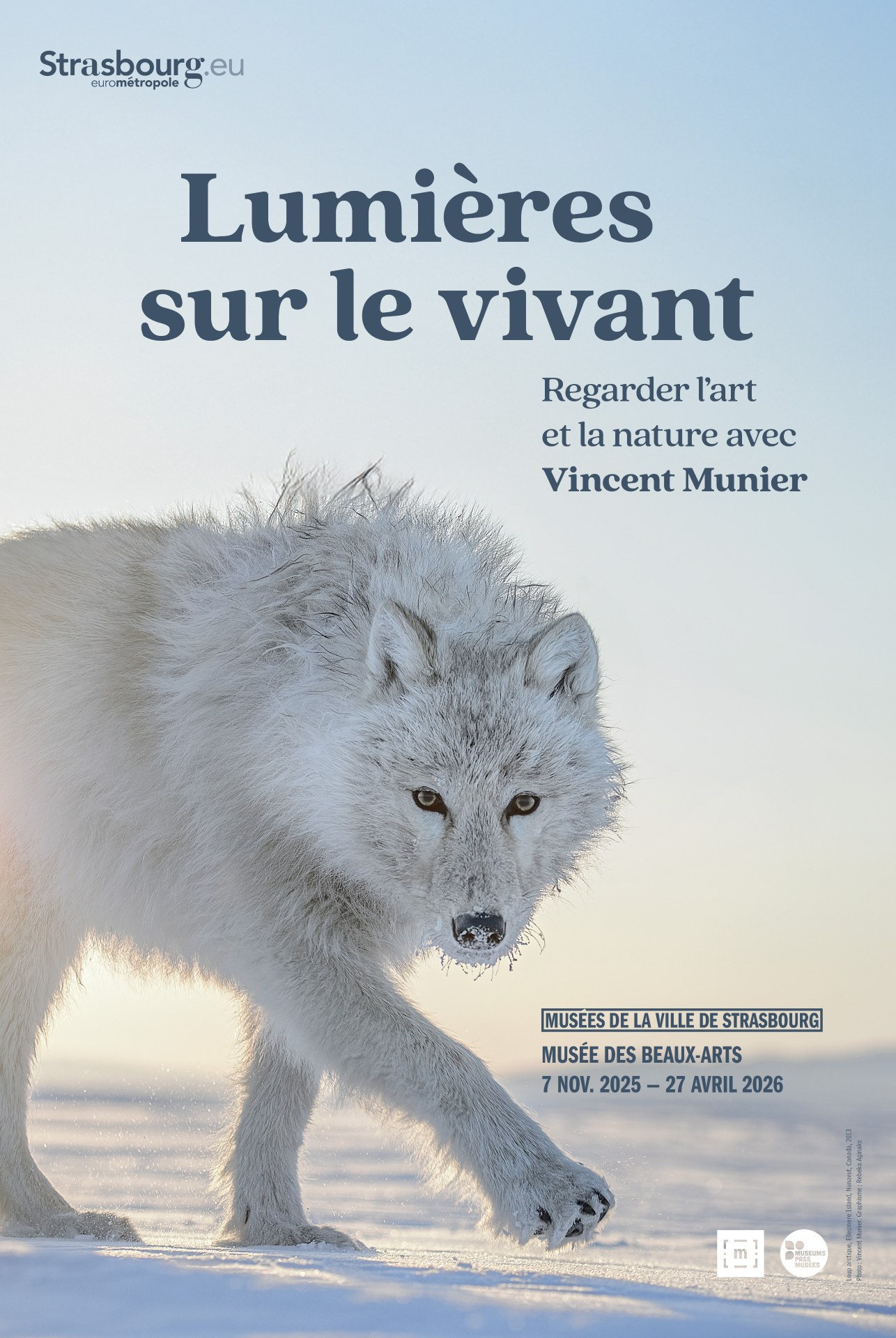 Lumières sur le vivant – Vincent Meunier